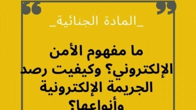 ما مفهوم الأمن الإلكتروني ؟ وما هي المساطر الإجرائية في رصد الجريمة الإلكترونية وأنواعها ؟