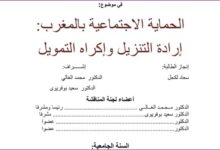 الحماية الاجتماعية بالمغرب إرادة التنزيل وإكراه التمويل PDF