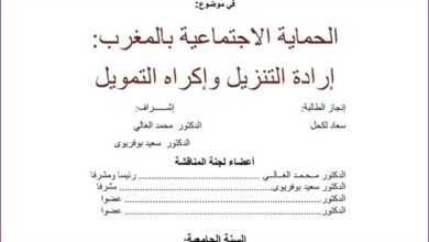 الحماية الاجتماعية بالمغرب إرادة التنزيل وإكراه التمويل PDF