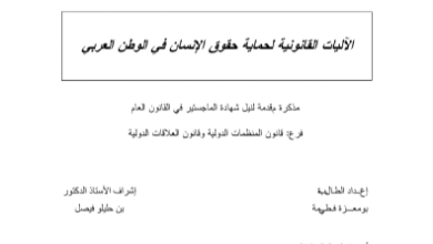 الآليات القانونية لحماية حقوق الإنسان في الوطن العربي
